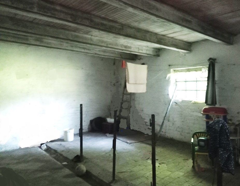 ex stalla casa con terreno Colorno campagna