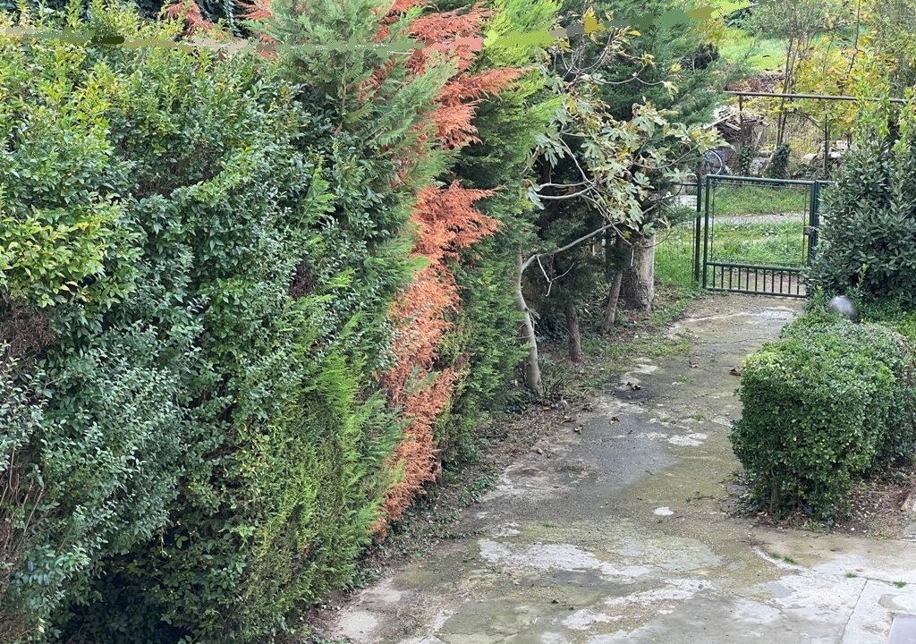 giardino casa ristrutturata Mezzano Superiore