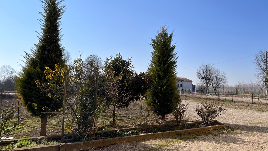 giardino casa in campagna Sorbolo Mezzani