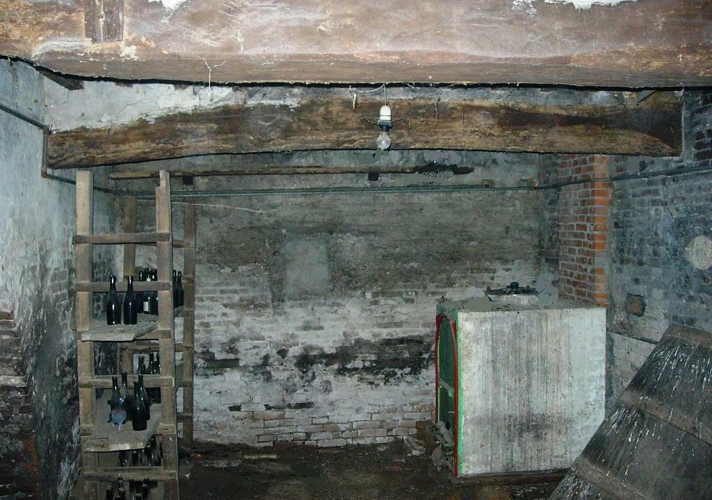 cantina terreno edificabile Colorno campagna