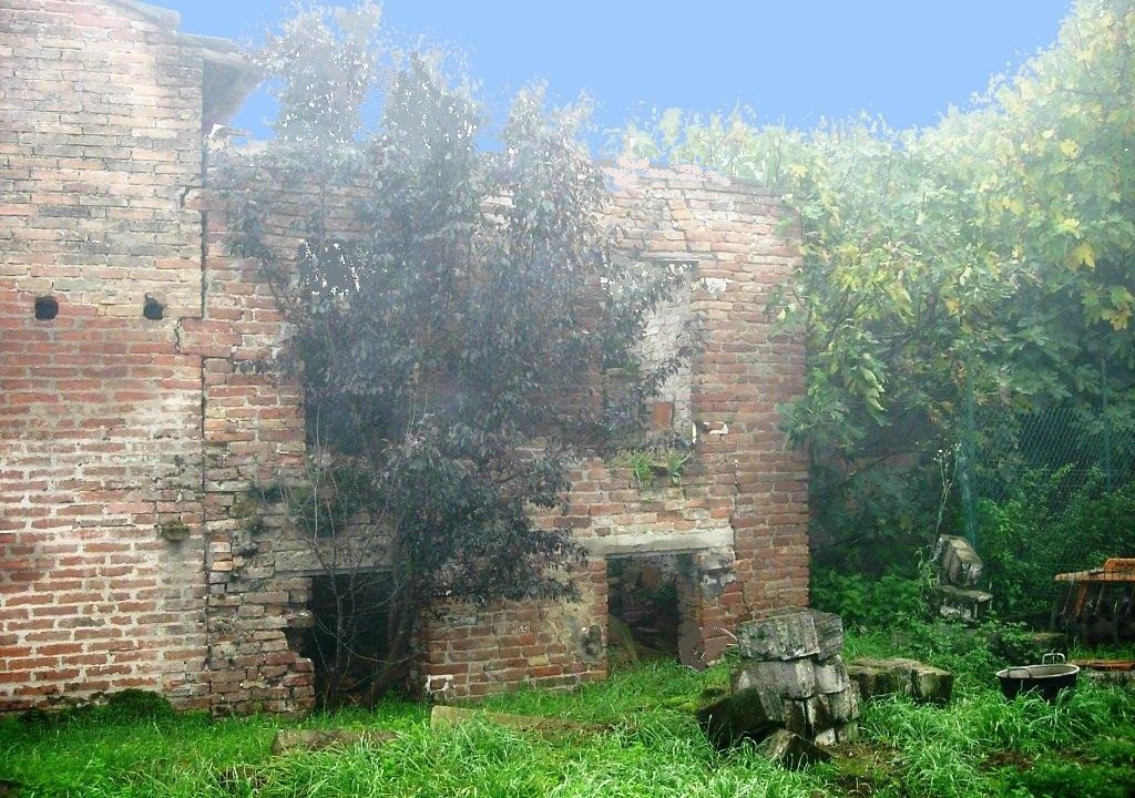 edificio collabente terreno edificabile Colorno campagna