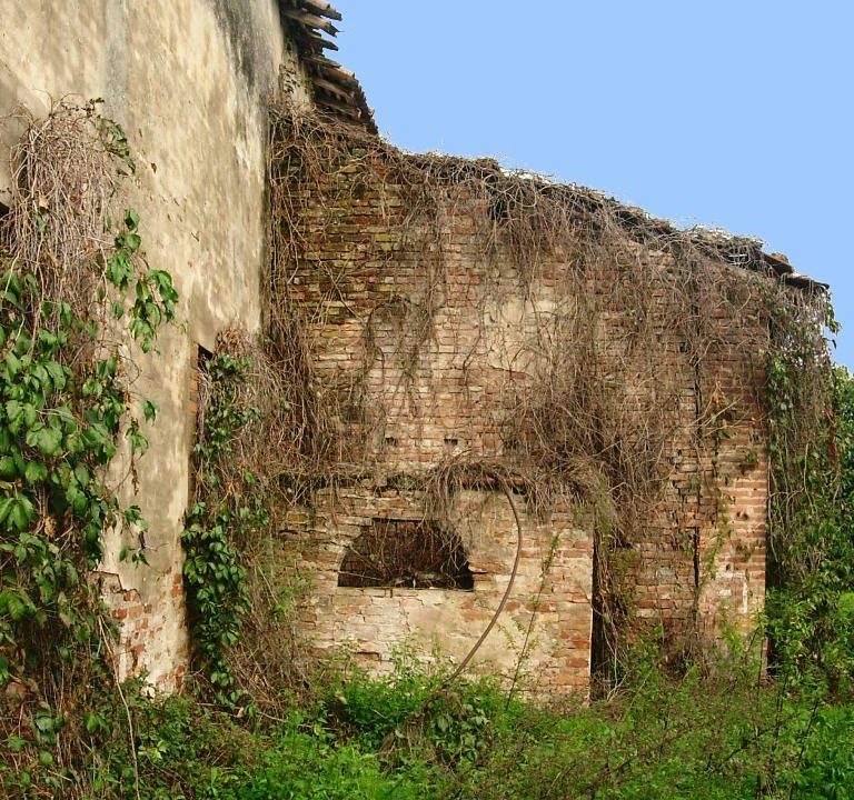 edificio collabente terreno edificabile Colorno campagna