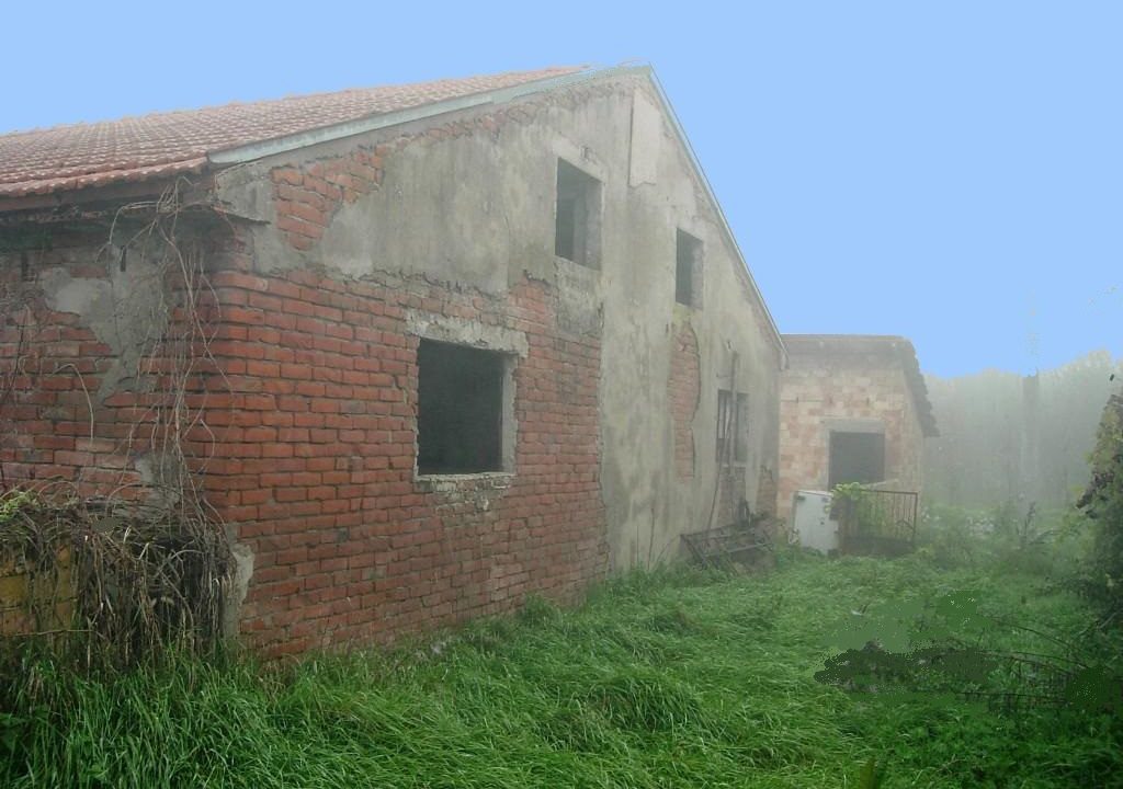 edificio collabente terreno edificabile Colorno campagna