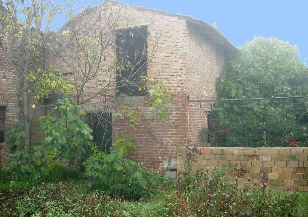 edificio collabente terreno edificabile Colorno campagna