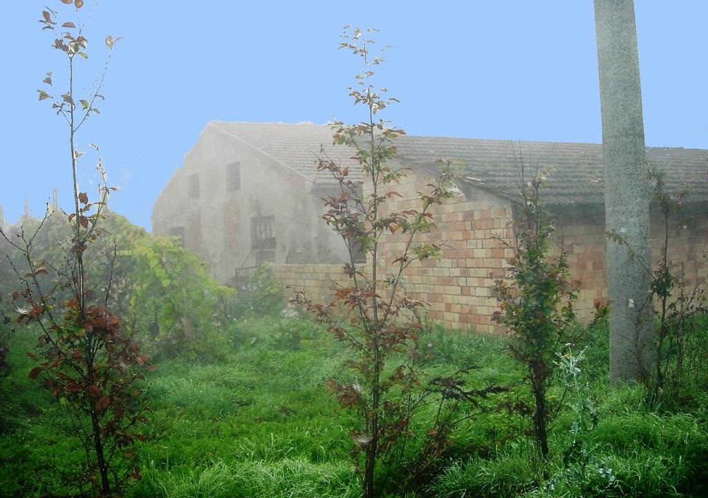 edificio collabente terreno edificabile Colorno campagna