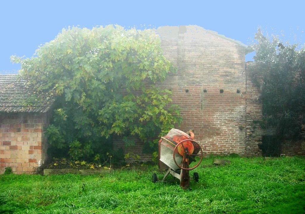 edificio collabente terreno edificabile Colorno campagna