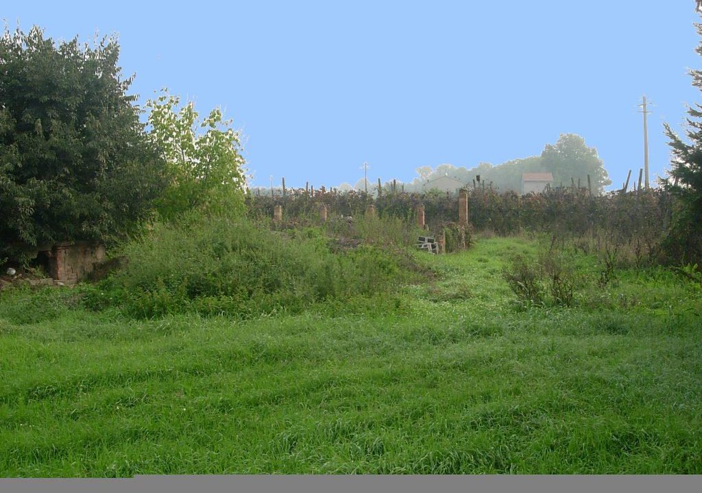 terreno edificabile Colorno campagna