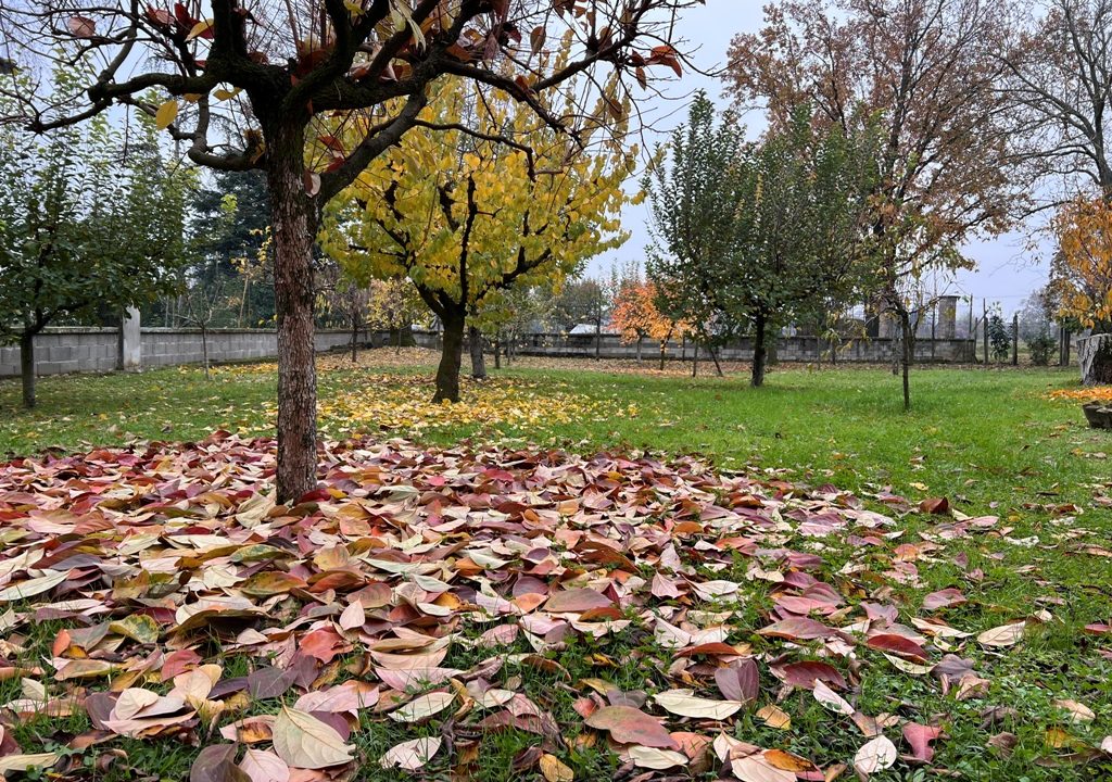 giardino casa con giardino Casale di Mezzani