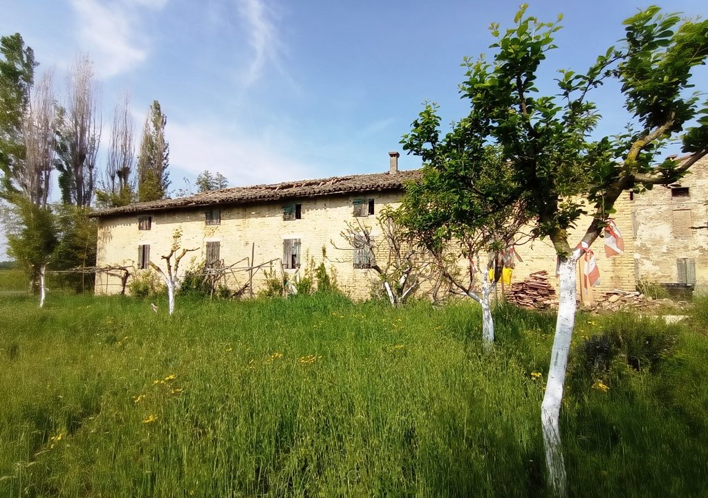 giardino rustico da ristrutturare zona Paradigna