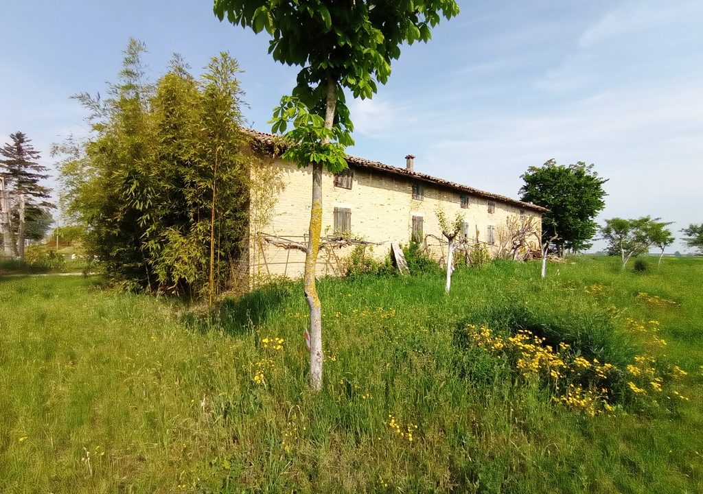 giardino rustico da ristrutturare zona Paradigna