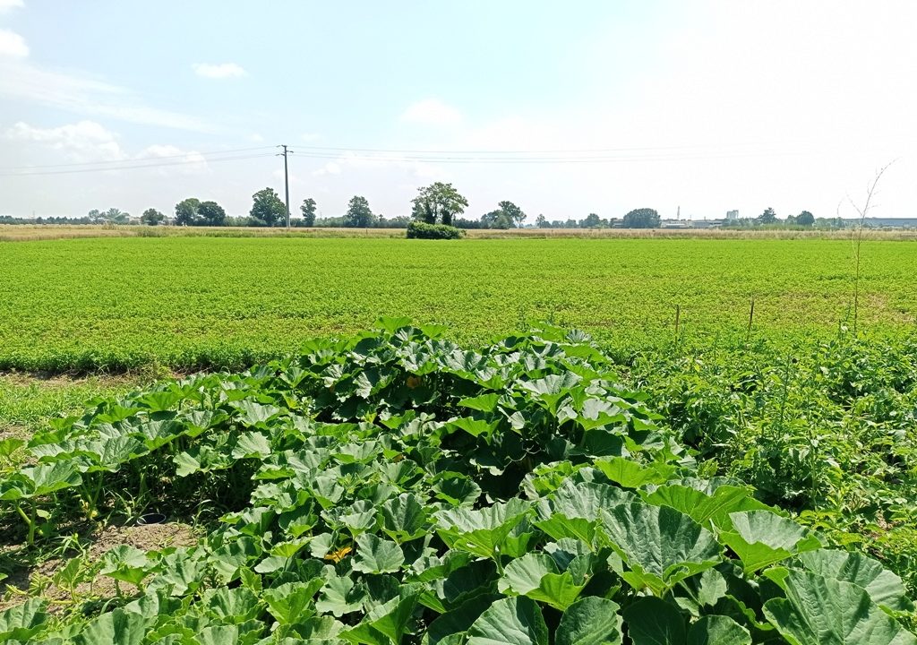 terreno casa da ristrutturare Parma nord