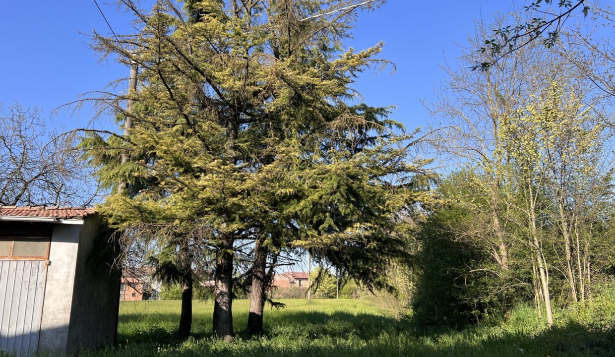 giardino casa indipendente con podere vicino a Colorno