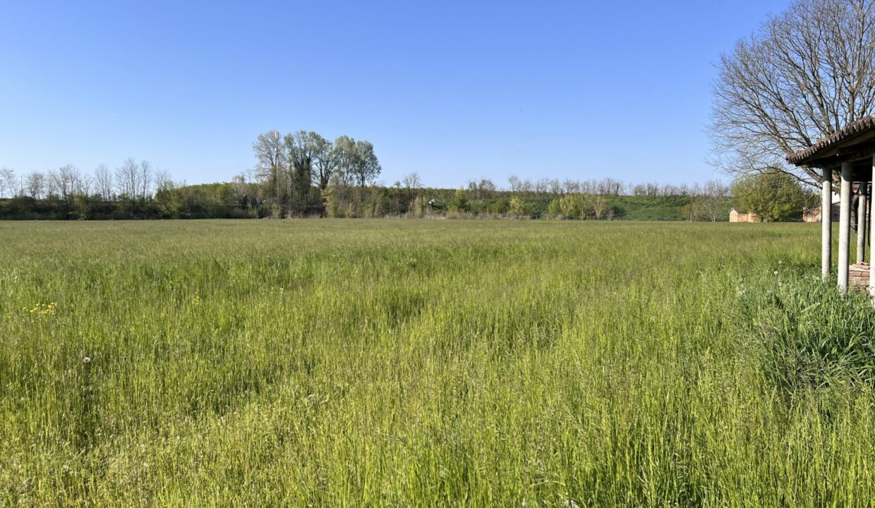 terreno casa indipendente con podere vicino a Colorno