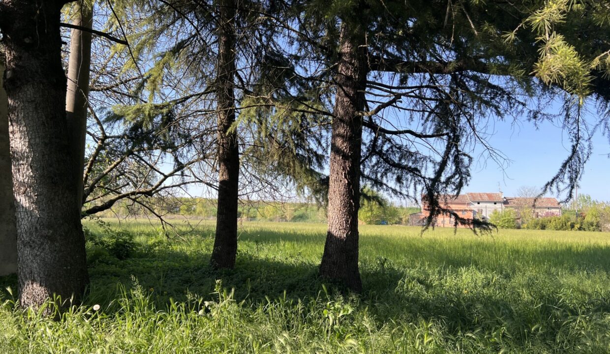terreno casa indipendente con podere vicino a Colorno