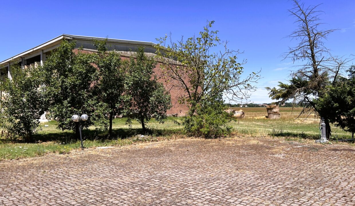 cortile porzione di bifamiliare Sissa campagna