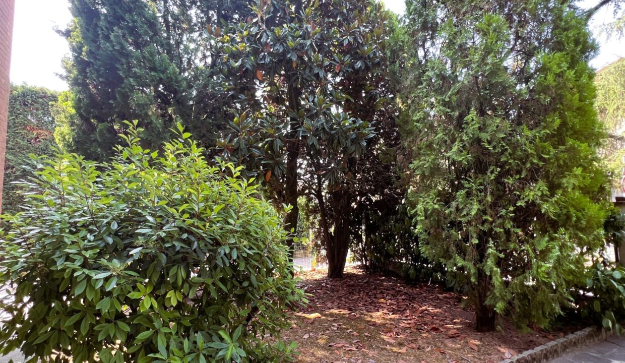 giardino casa indipendente Colorno