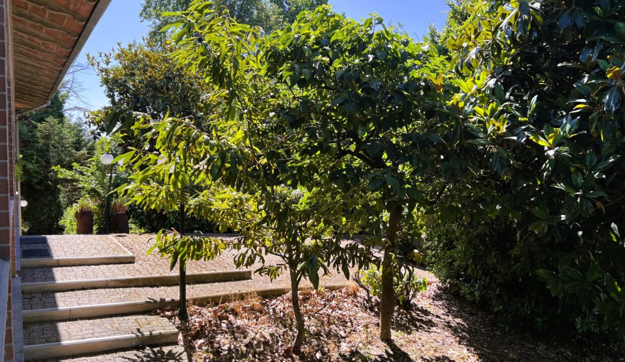 vista veranda appartamento con giardino Sissa campagna