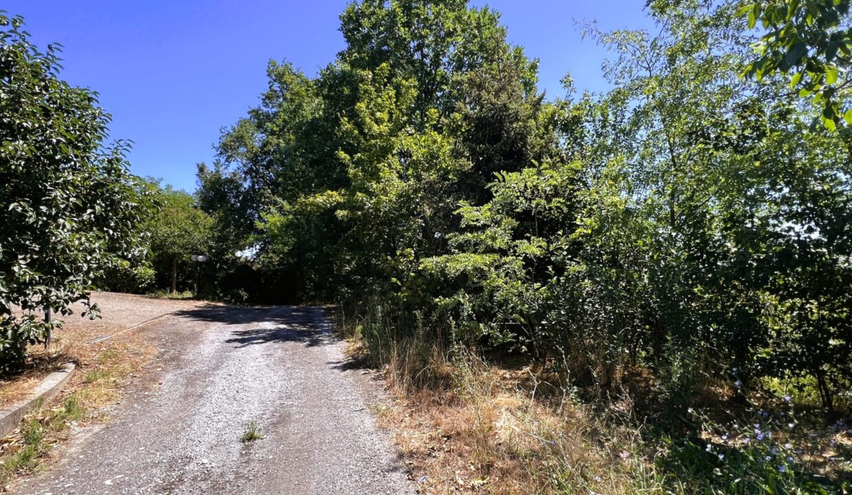 zona appartamento con giardino Sissa campagna
