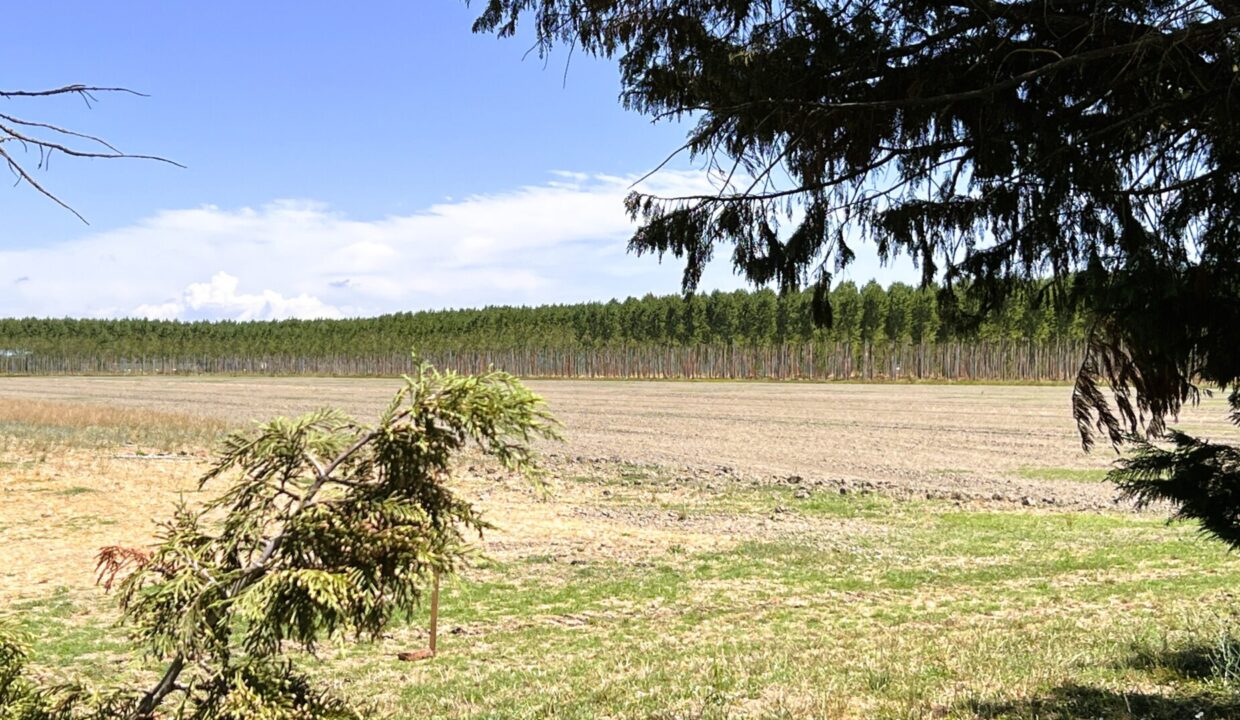 zona appartamento con giardino Sissa campagna