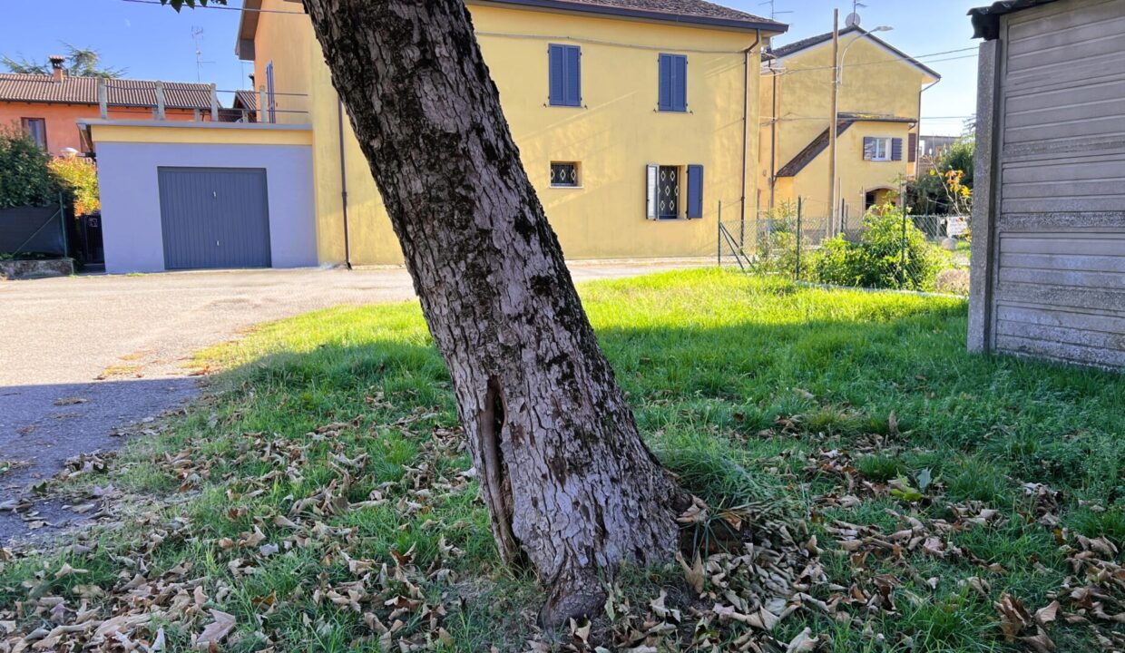 giardino casa da ristrutturare vicinanze Colorno