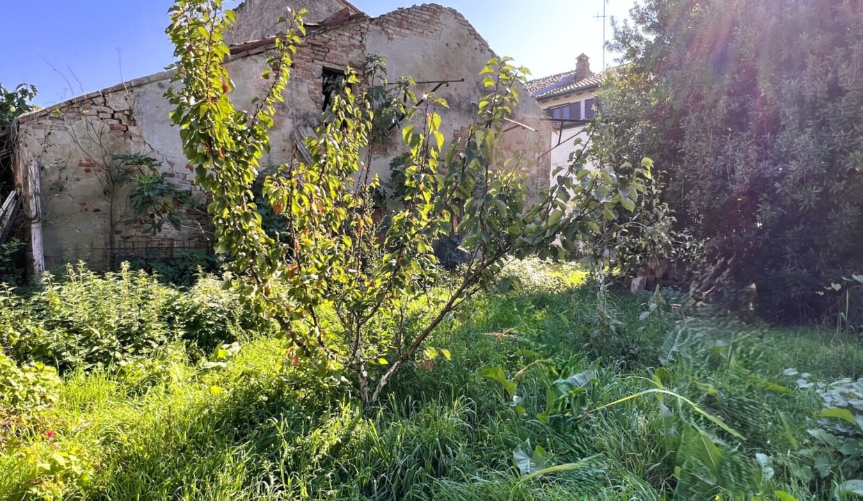 giardino rustico da ristrutturare Coltaro