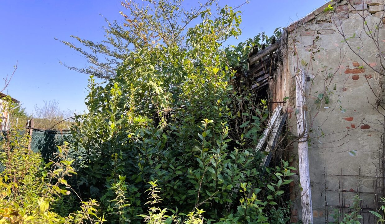 giardino rustico da ristrutturare Coltaro