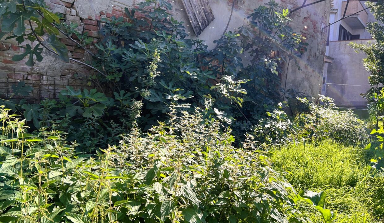 giardino rustico da ristrutturare Coltaro