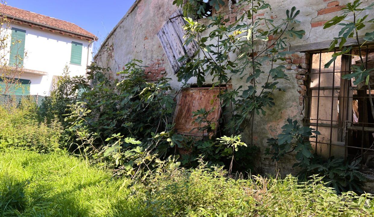 giardino rustico da ristrutturare Coltaro