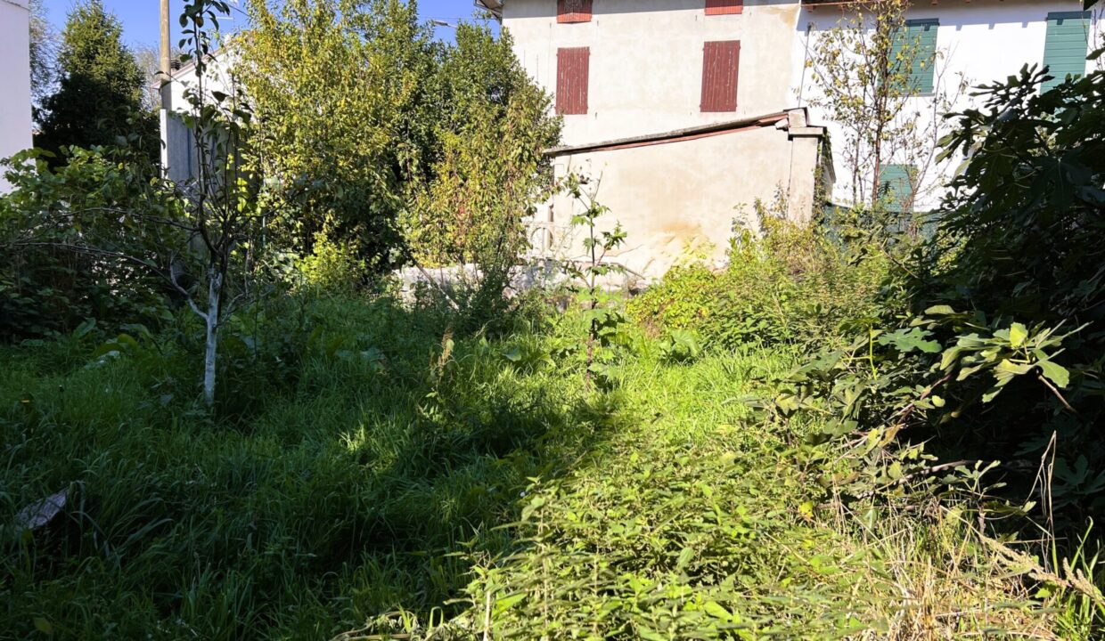 giardino rustico da ristrutturare Coltaro