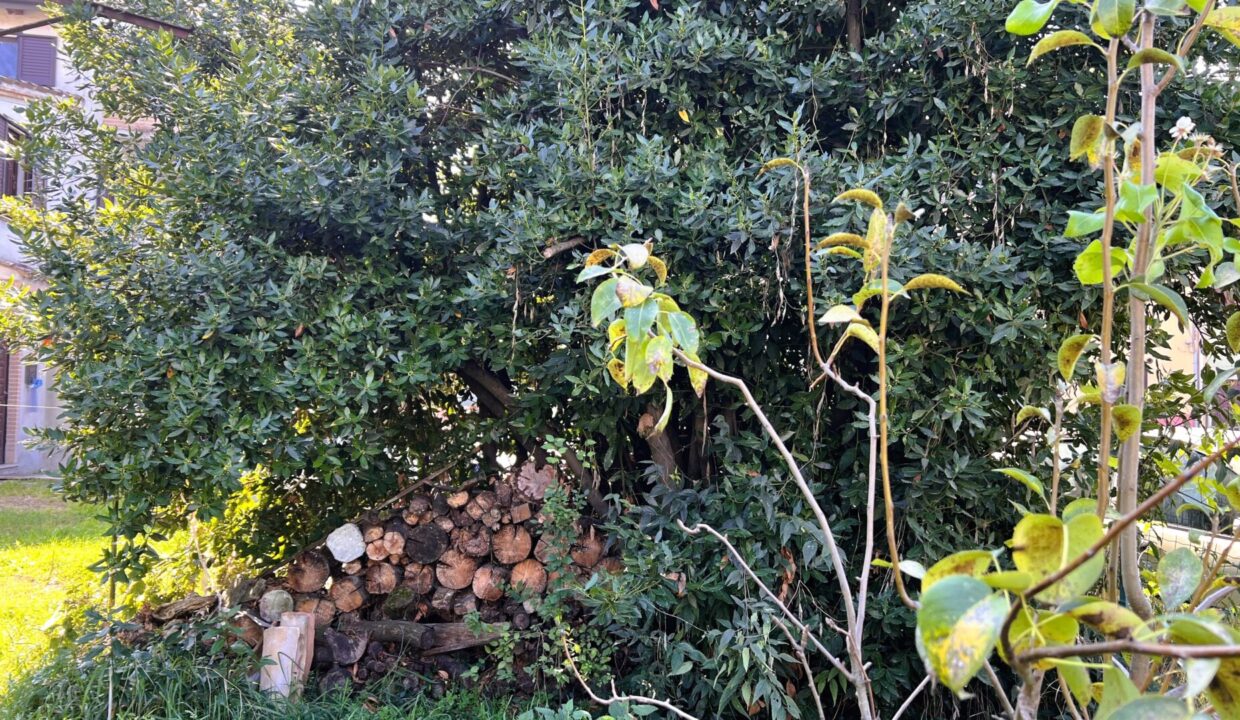 giardino rustico da ristrutturare Coltaro