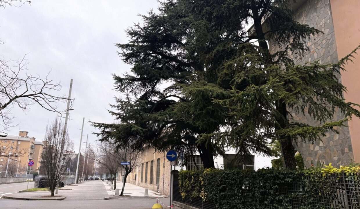 zona appartamento zona via Venezia