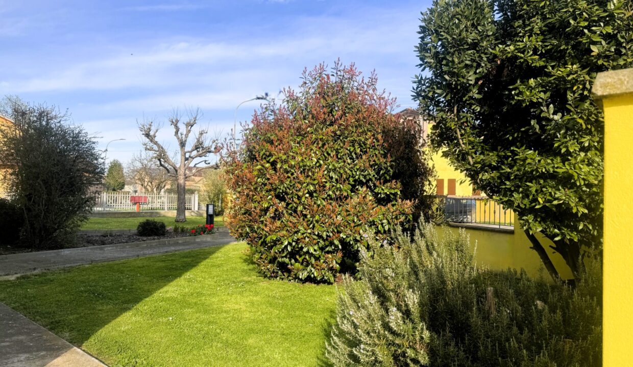 giardino  bifamiliare Sissa campagna