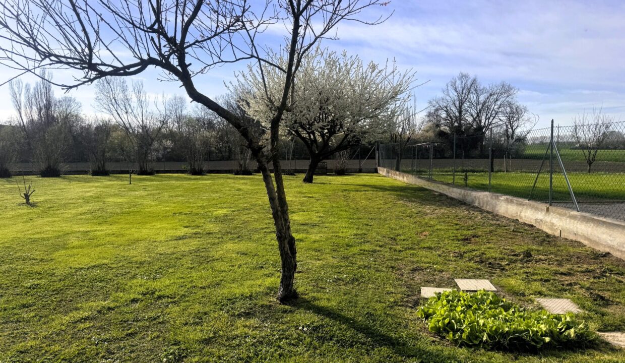 giardino bifamiliare Sissa campagna