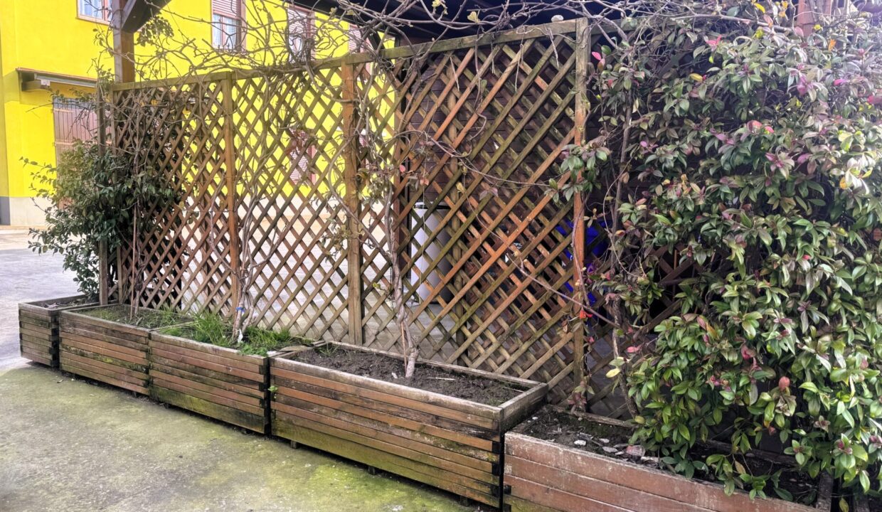 portico bifamiliare Sissa campagna