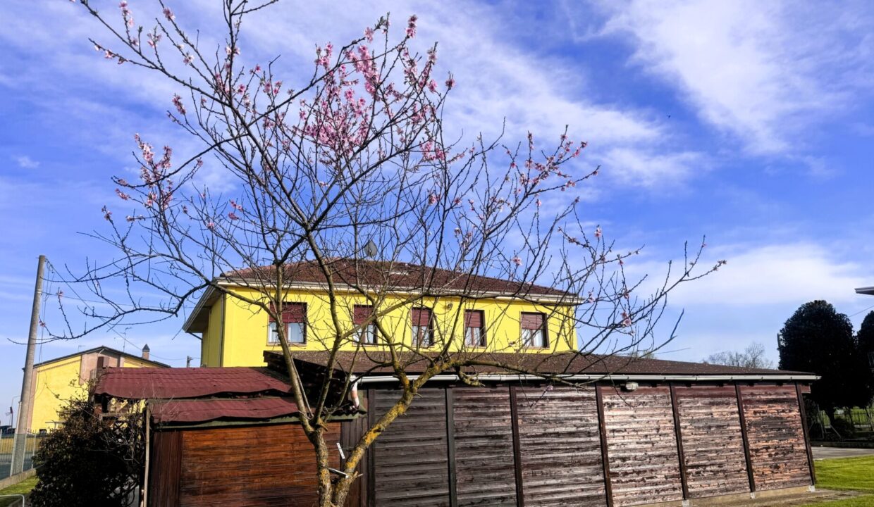 retro bifamiliare Sissa campagna