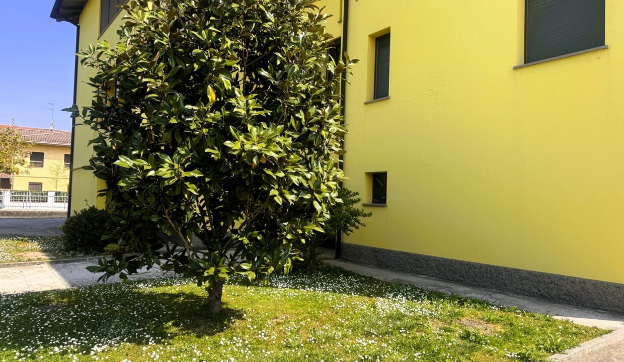 giardino appartamento con 3 camere Colorno