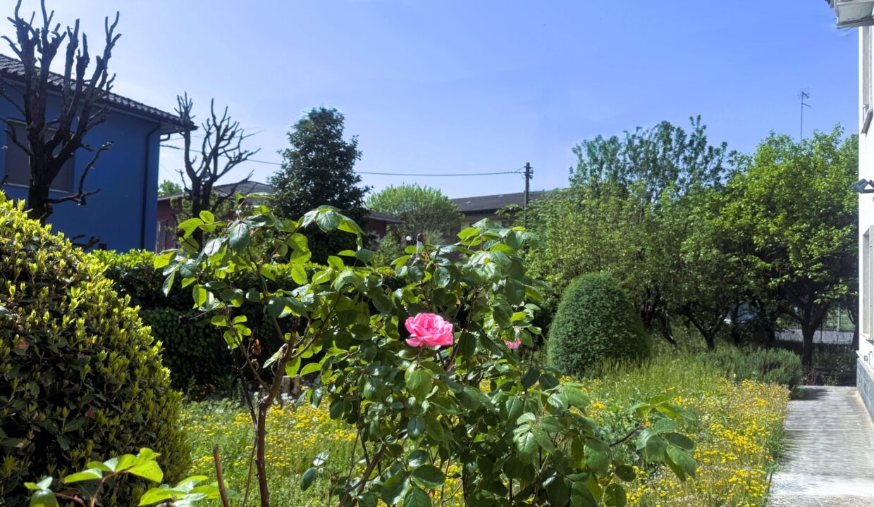 giardino villetta indipendente con giardino Colorno