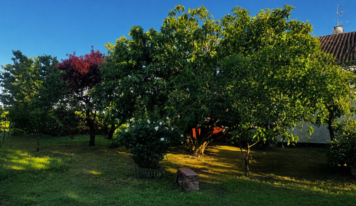 giardino casa ristrutturata con giardino Colorno campagna