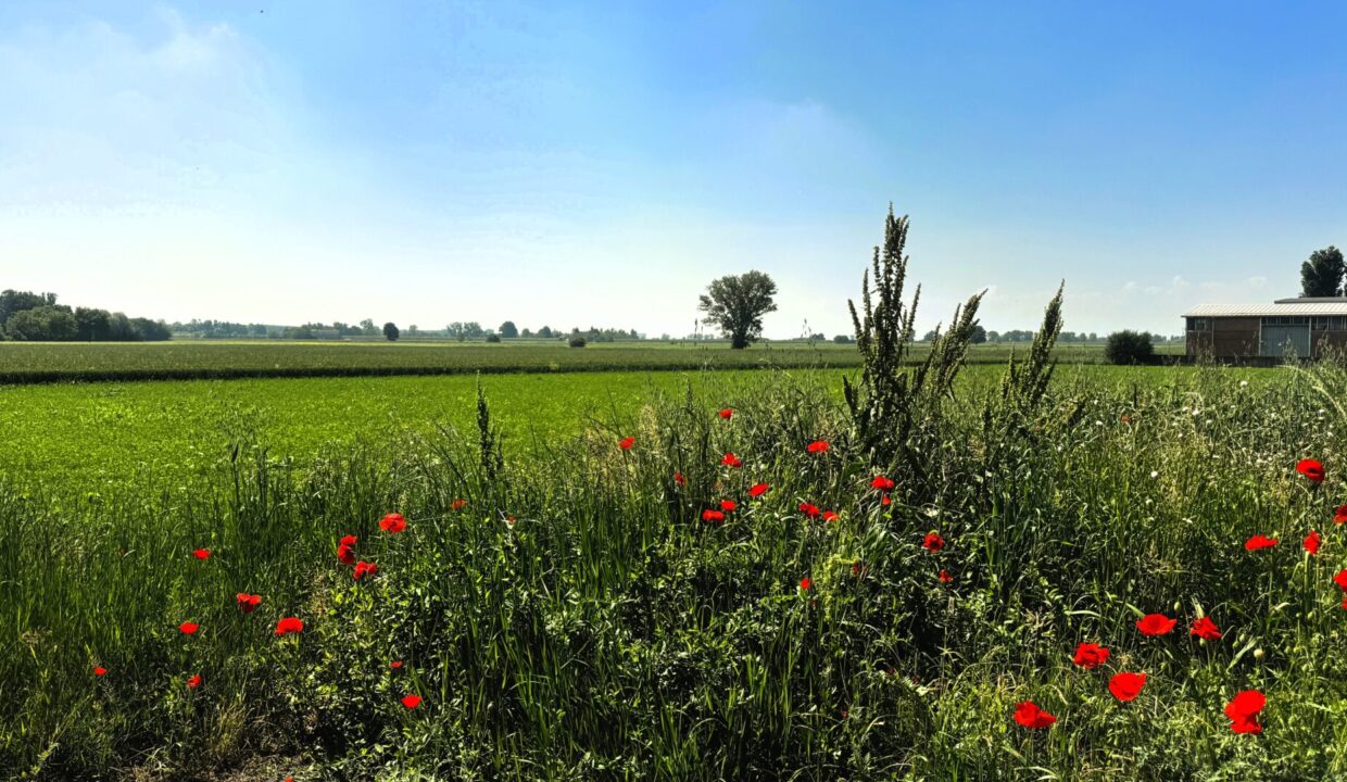 zona appartamento con giardino Mezzano Inferiore