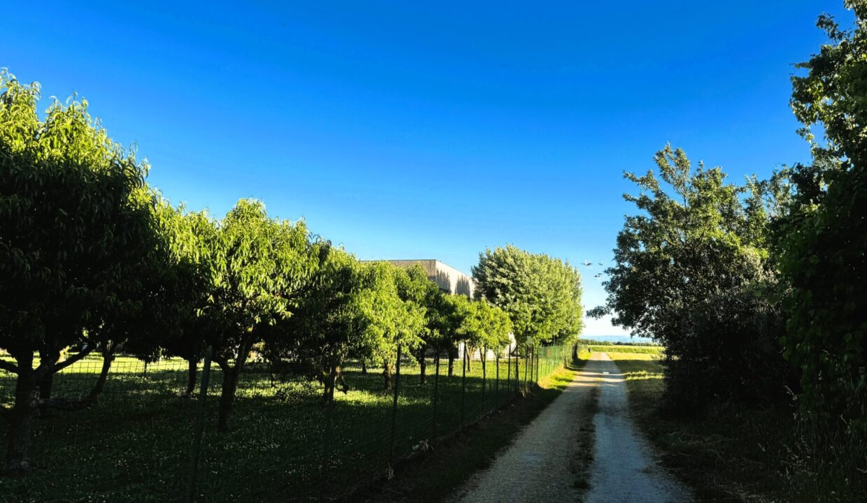 zona casa ristrutturata con giardino Colorno campagna