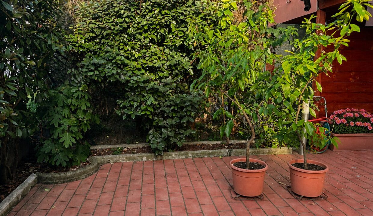 cortile retro  villetta a schiera San Secondo campagna